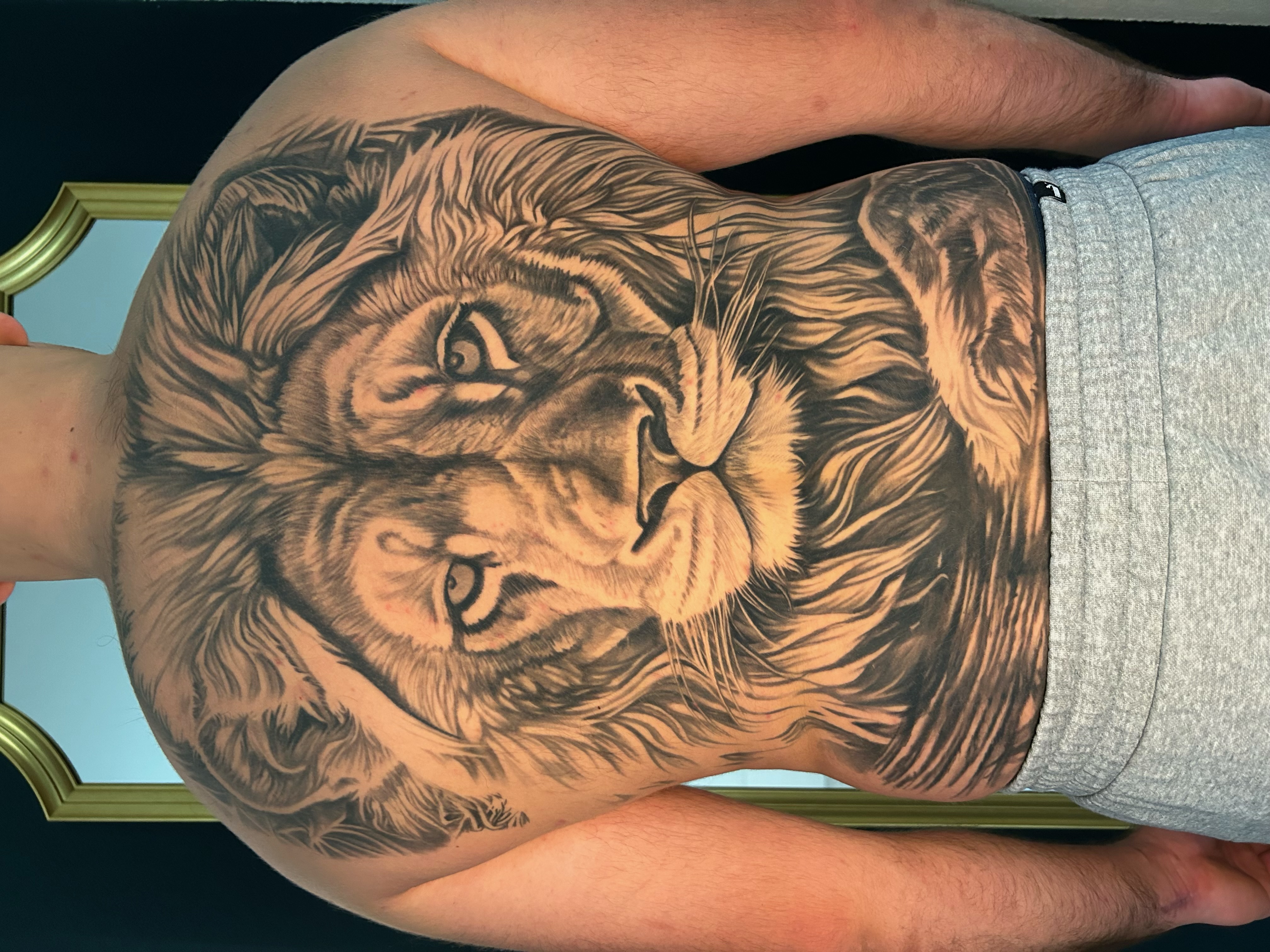 Symmetrisches Realismus-Tattoo eines Löwenkopfs über den oberen Rücken